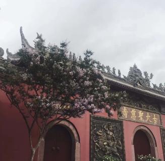 国际人：助力公益活动建设，实现经济效益与社会效益的双赢！