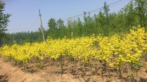 明光市市委书记被国际人企业文化深深感动 | 深入沟通合作空间广阔