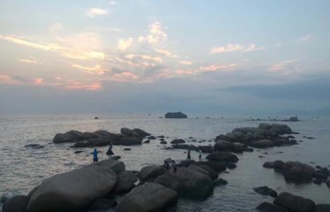 国际人：新的经营模式应当立足在商业模式之上